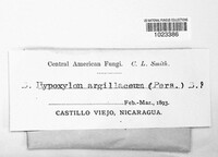 Hypoxylon fragiforme image